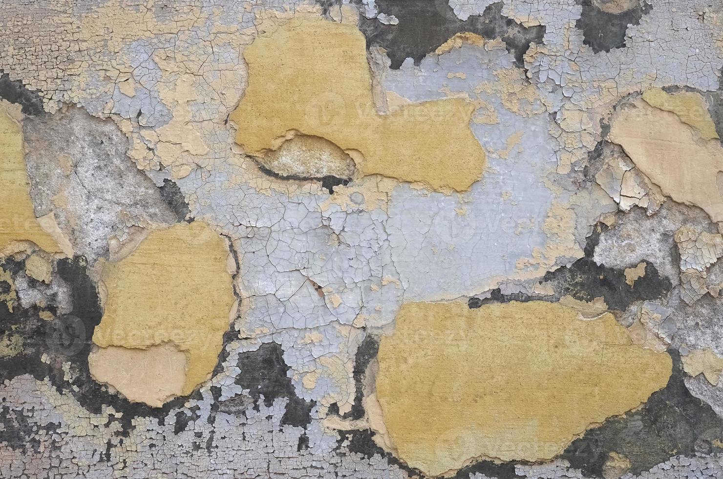 dampness moisture on wall photo