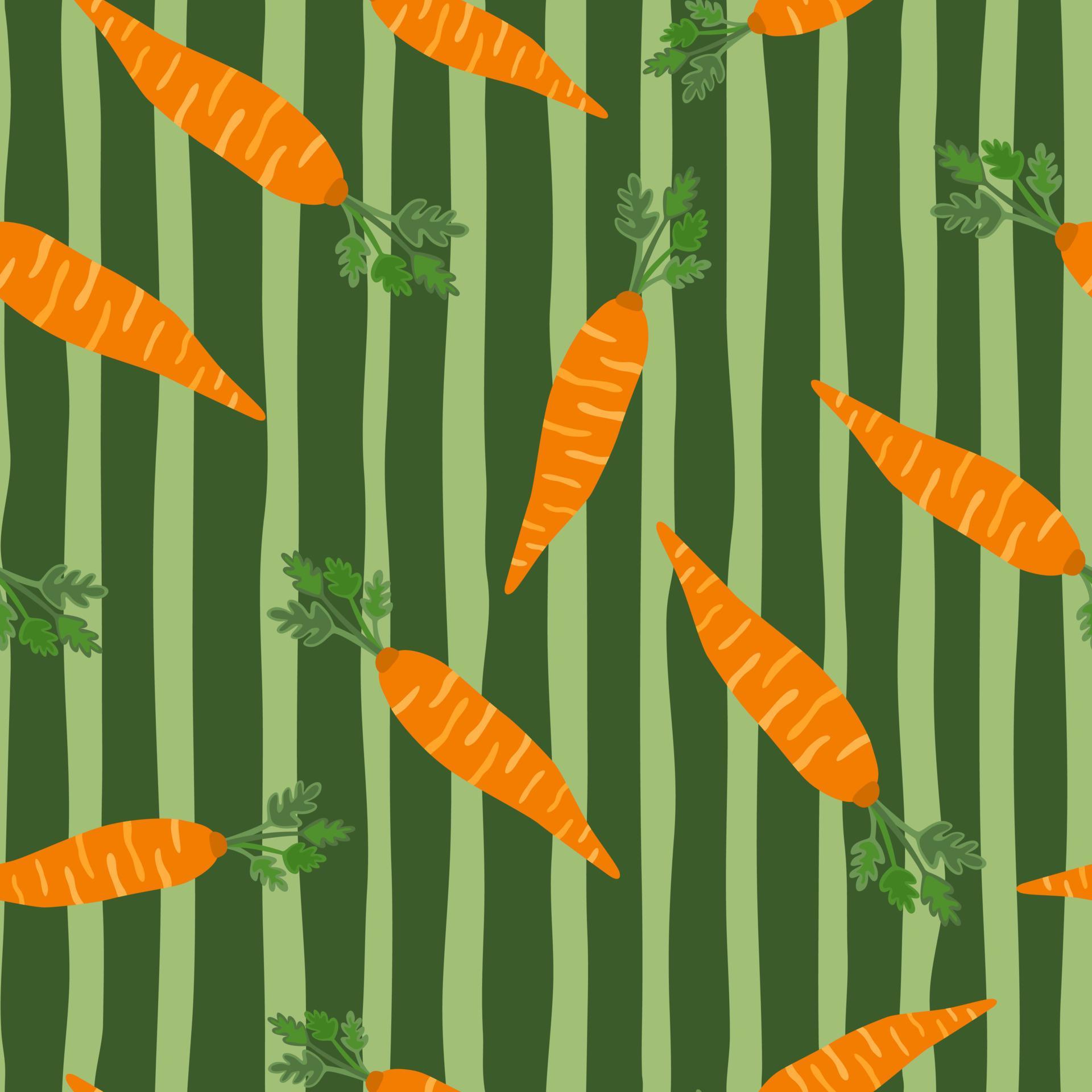 Hand drawn carrot seamless pattern. Doodle carrots wallpaper. 12881412