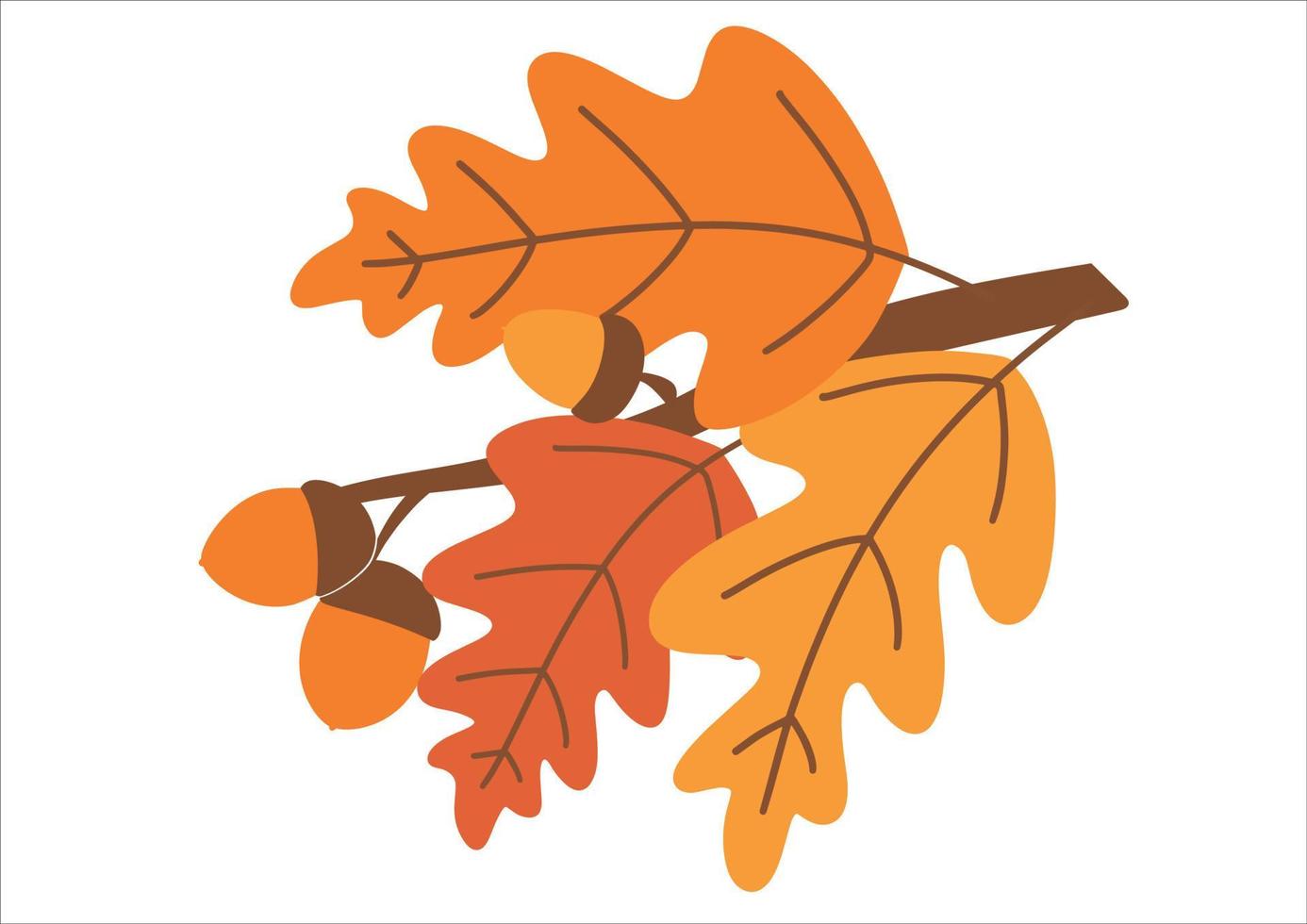 Autumn oak branch with acorns and yellowed leaves. Seasonal vector illustration. Template for decorative design.