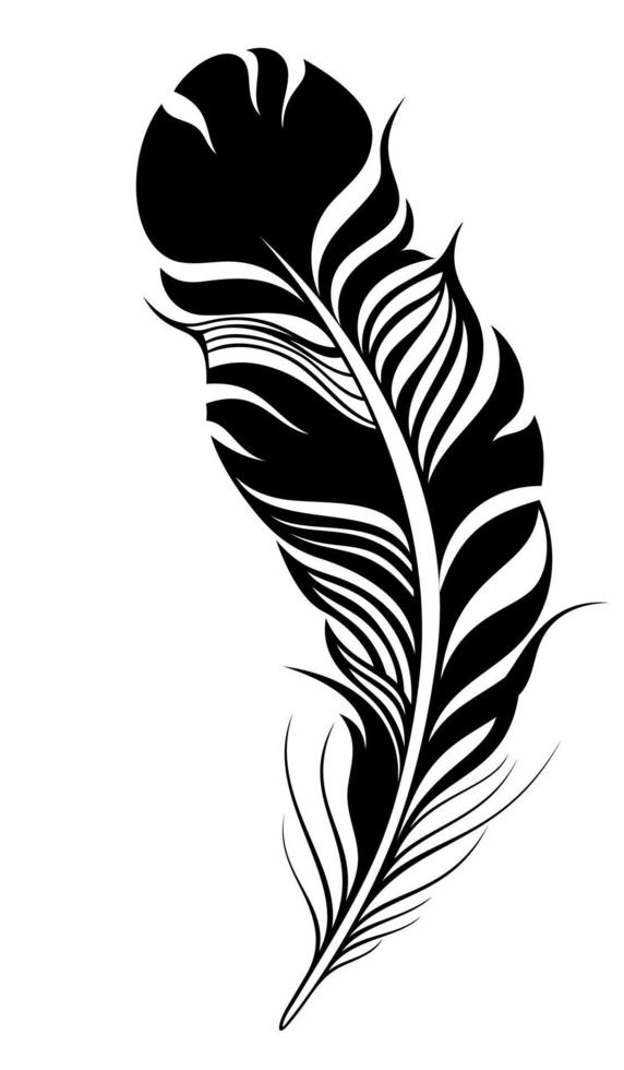 símbolos de plumas decorativas para su diseño vector
