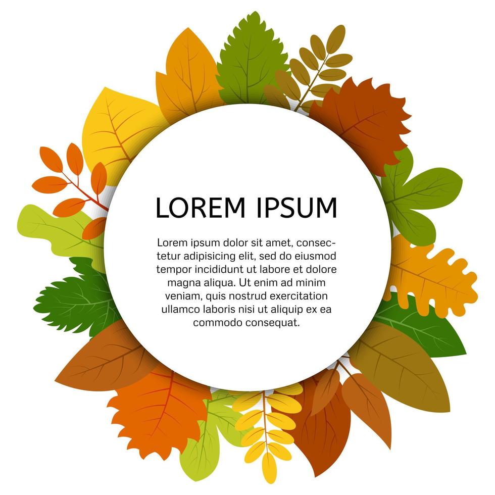 Colorful autumn leaves under white round label. Vector card with yellow leaves isolated on white background