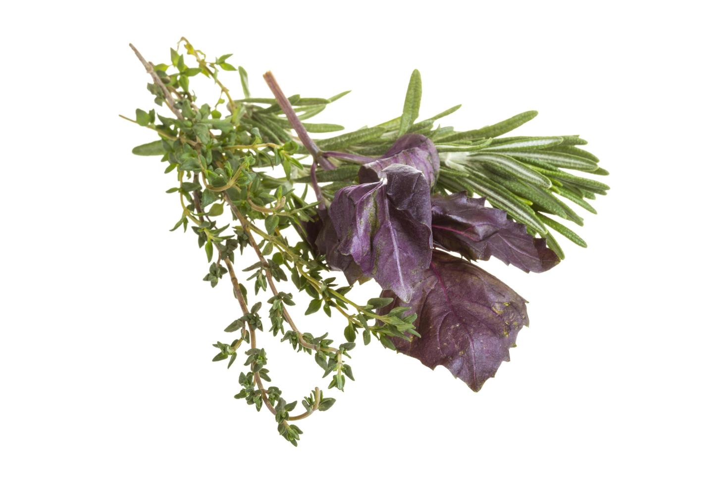 Herbs on white photo