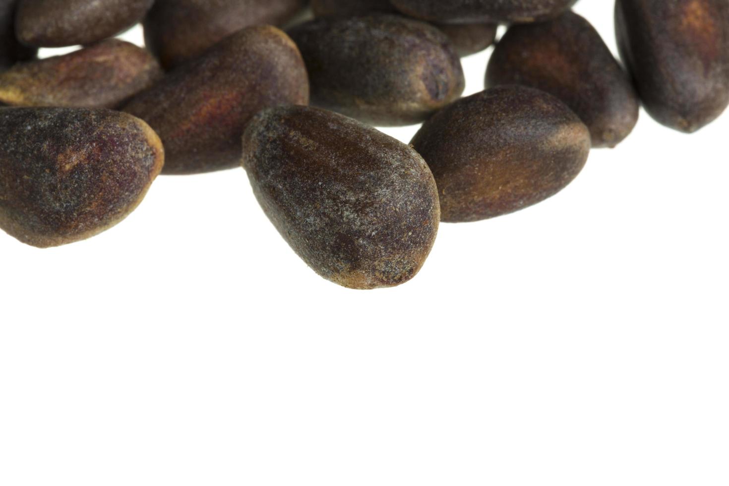 cedar nuts on white photo