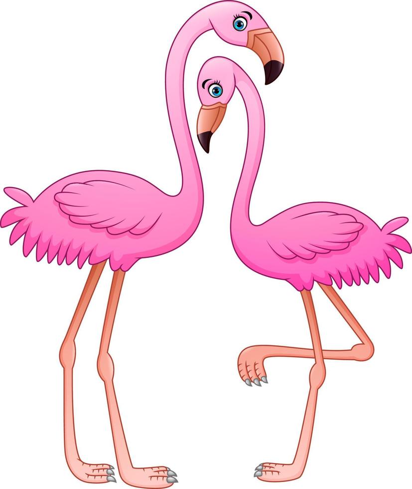 Cartoon two pink flamingo on white background vector