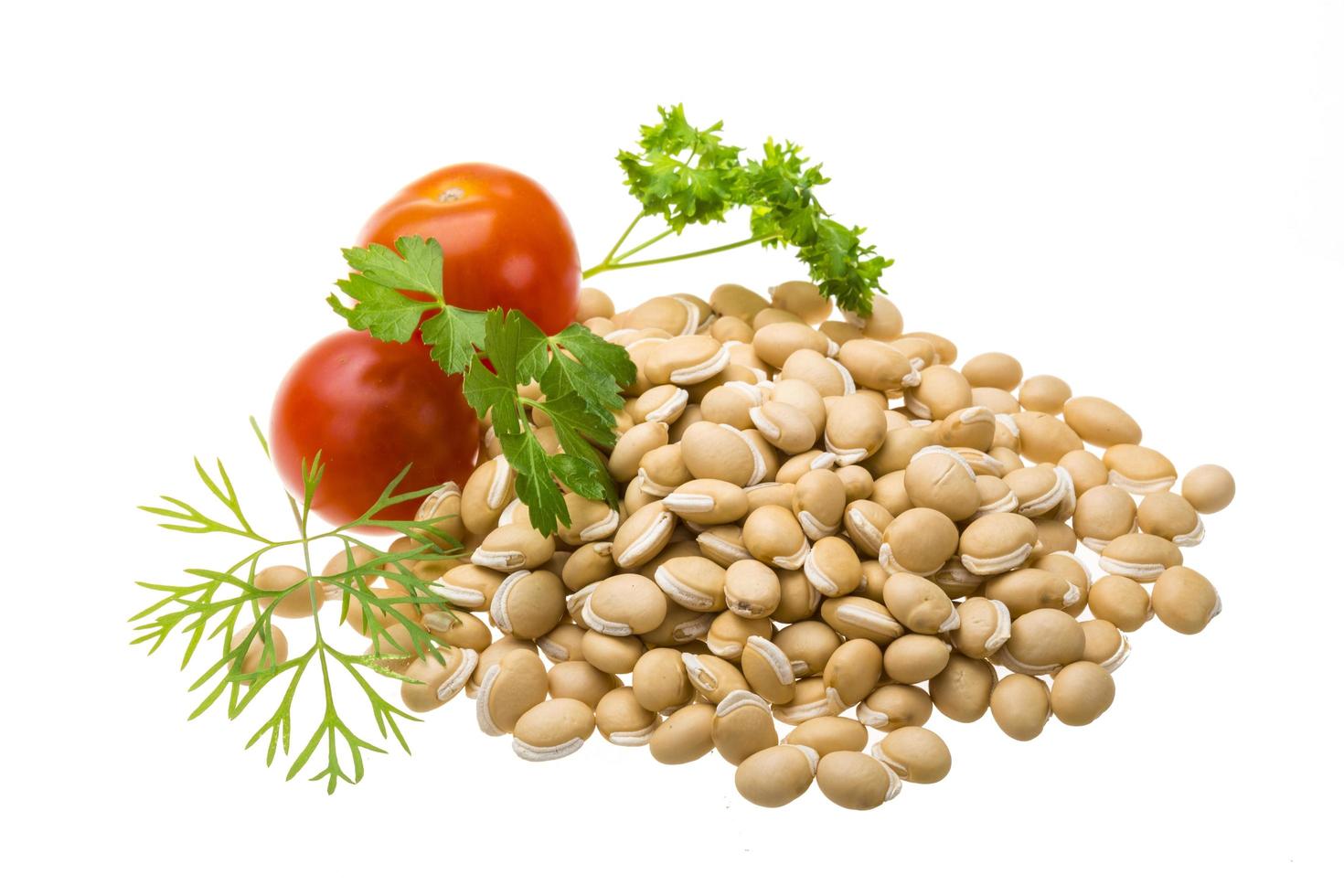 White beans on white background photo