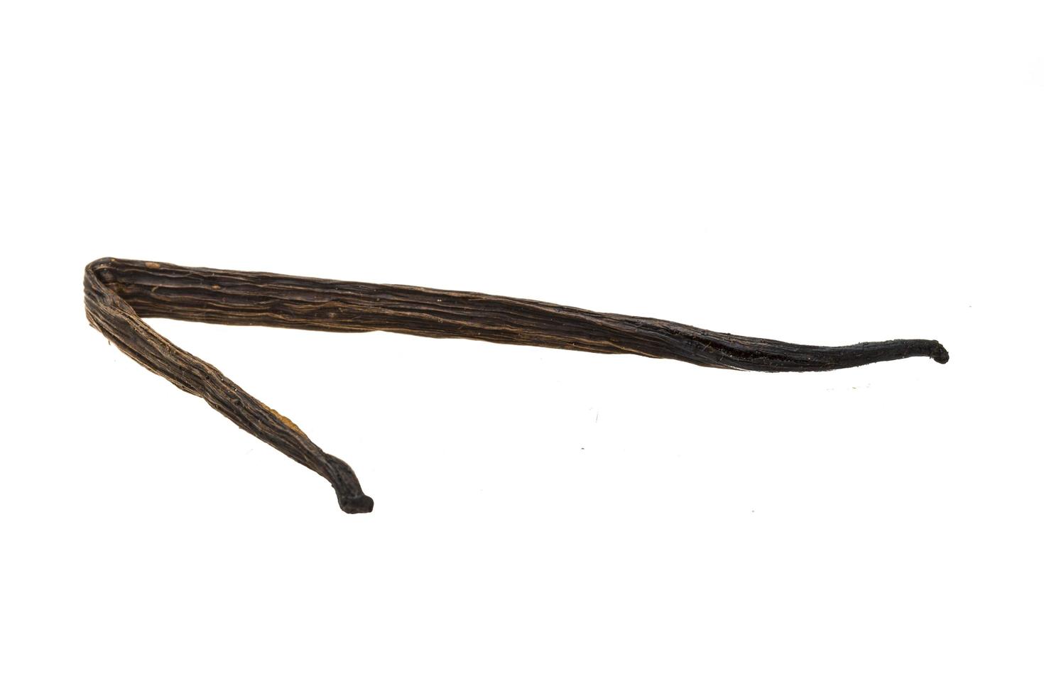 Vanilla on white background photo