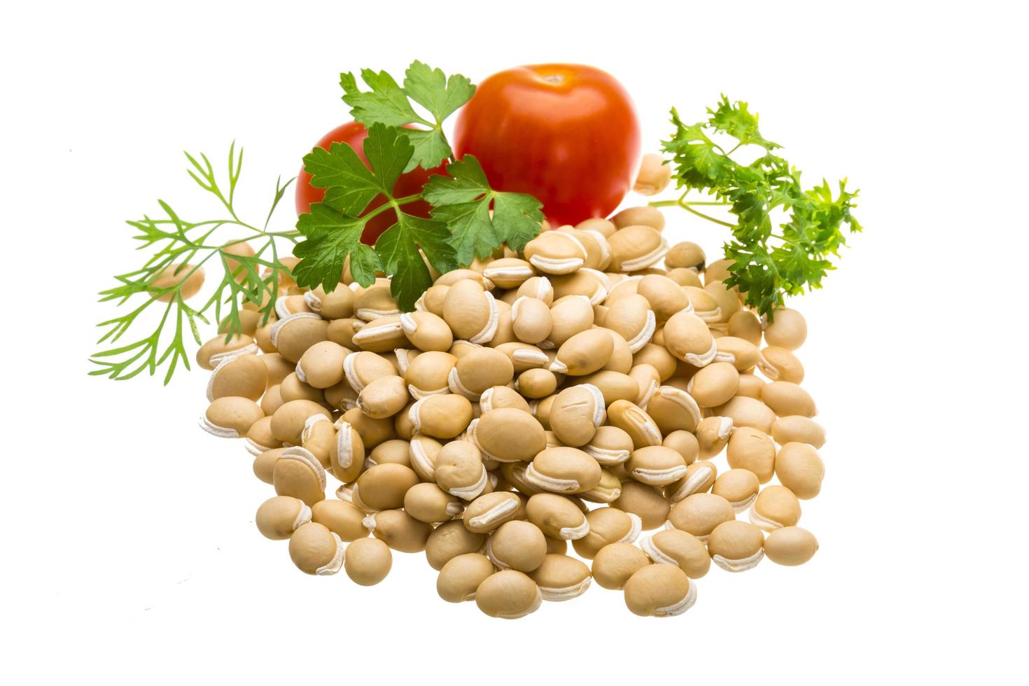 White beans on white background photo