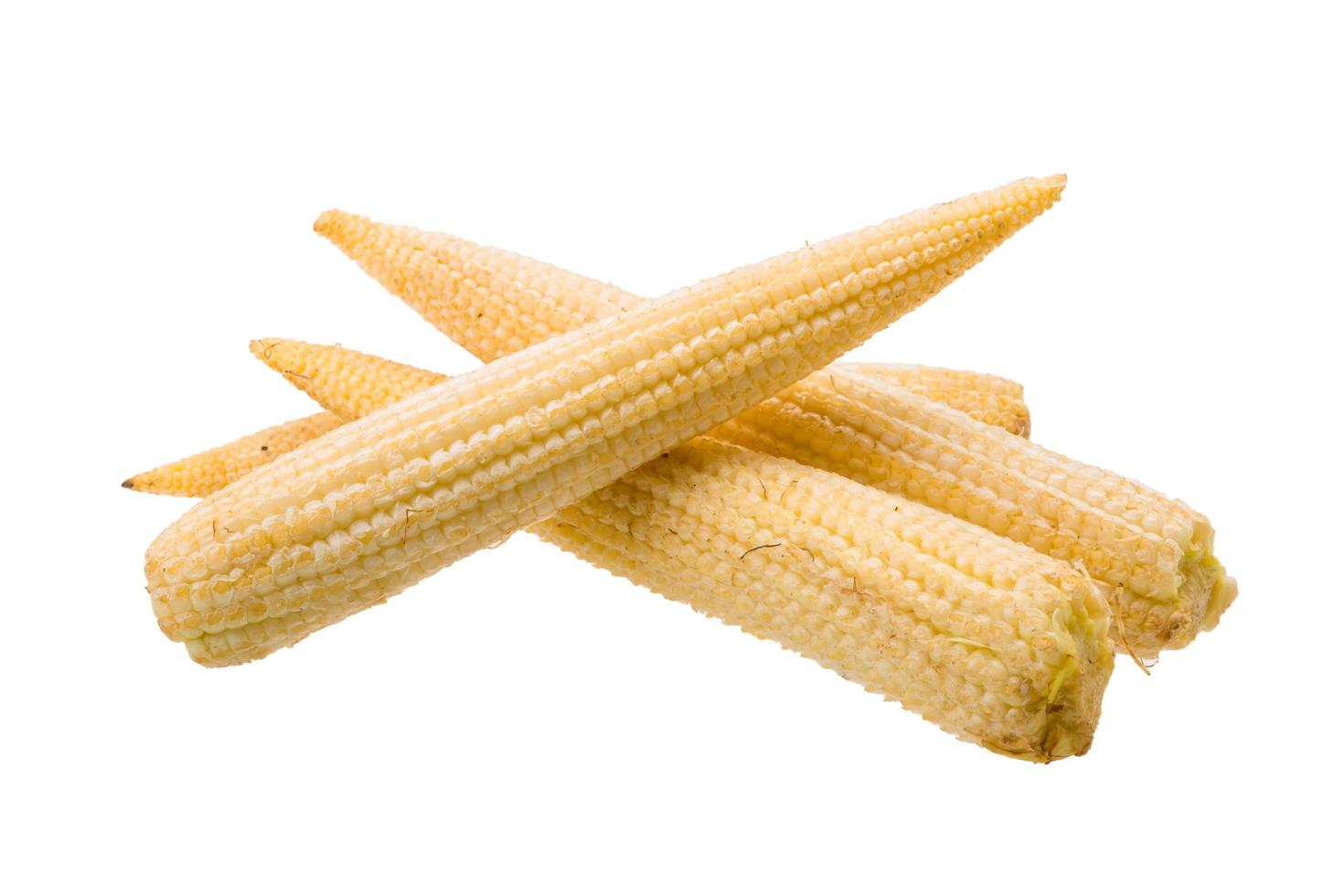 Baby corn on white photo