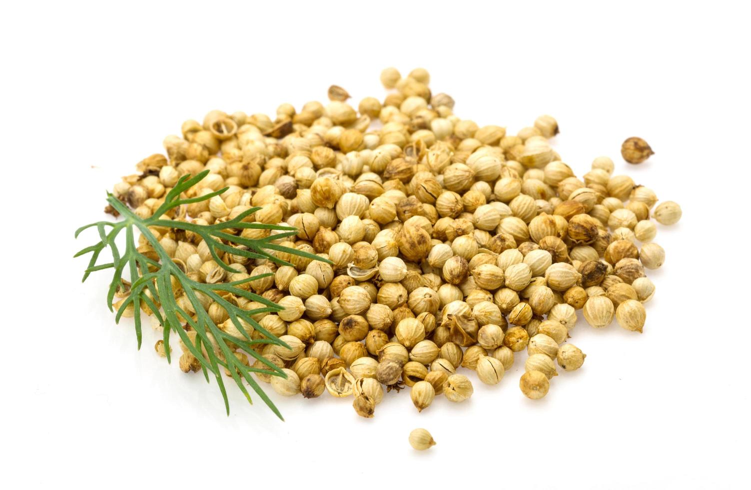 Coriander seeds on white 12883426 Stock Photo at Vecteezy