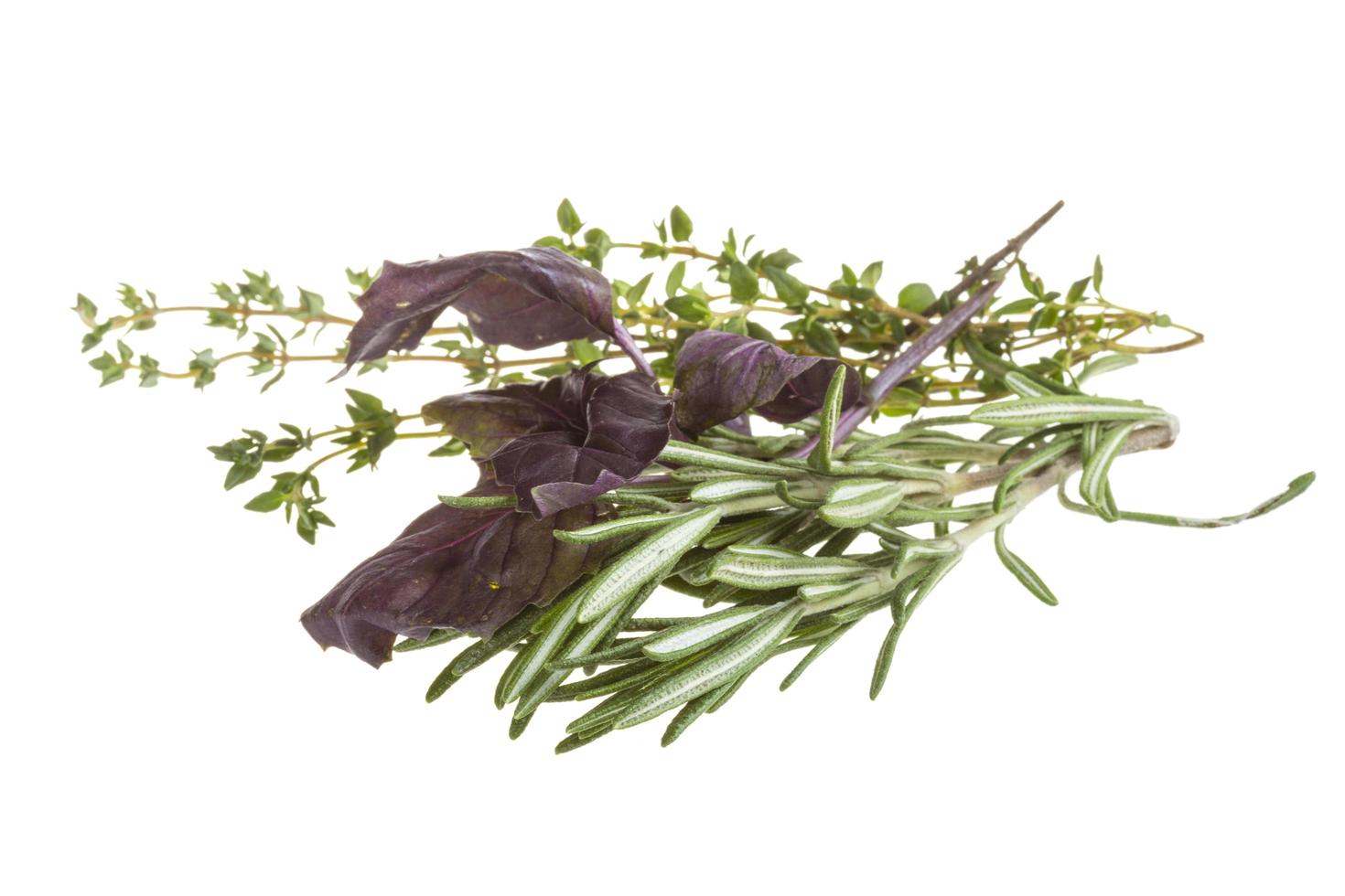 Herbs on white photo