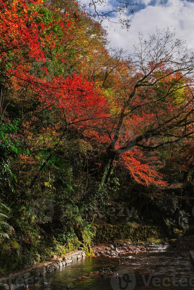 Picturesque scene of autumn in Japan photo