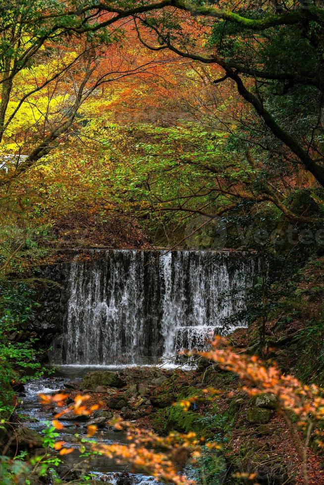 escena pintoresca de otoño en japón foto