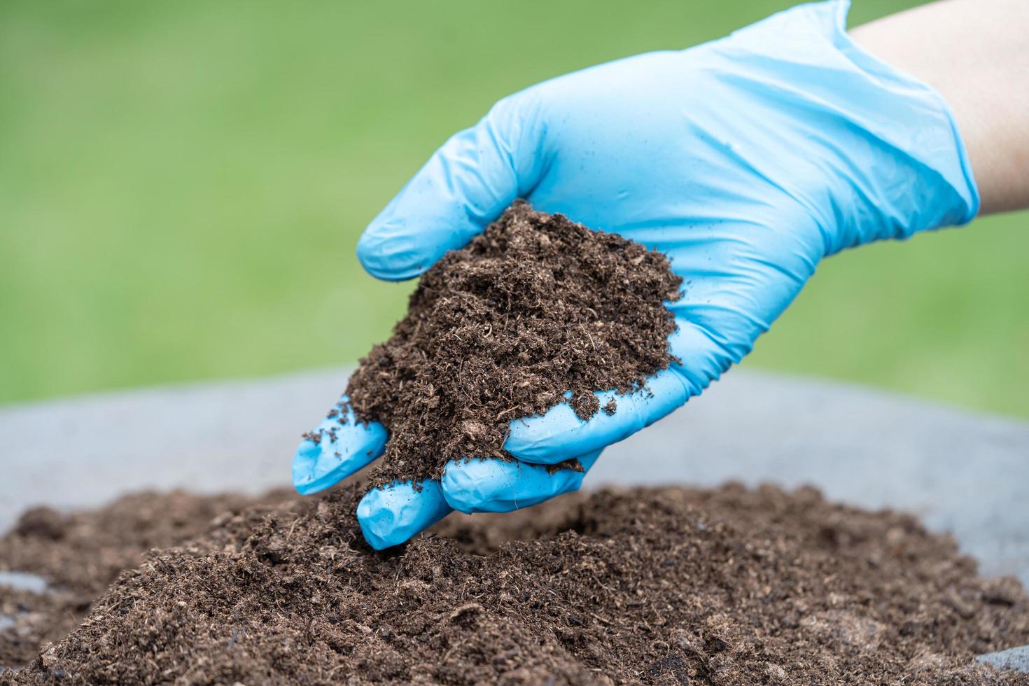 la mano que sostiene la materia orgánica de musgo de turba mejora el suelo para la agricultura cultivo de plantas orgánicas, concepto de ecología. foto