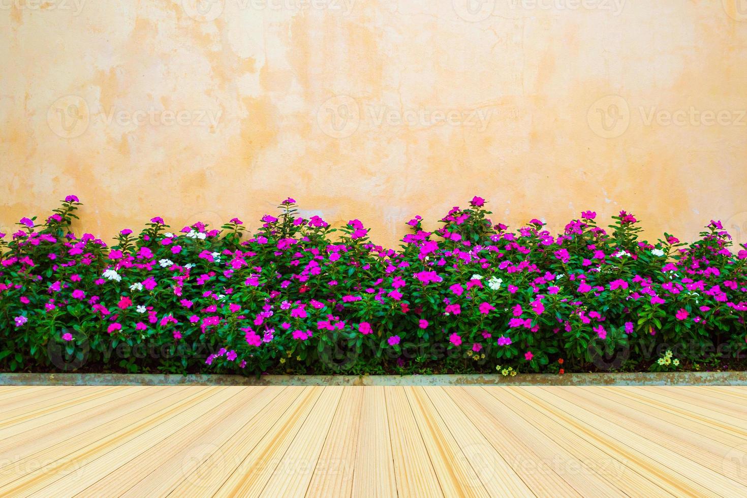 Empty wood floor with beautiful flowers with concrete wall background photo