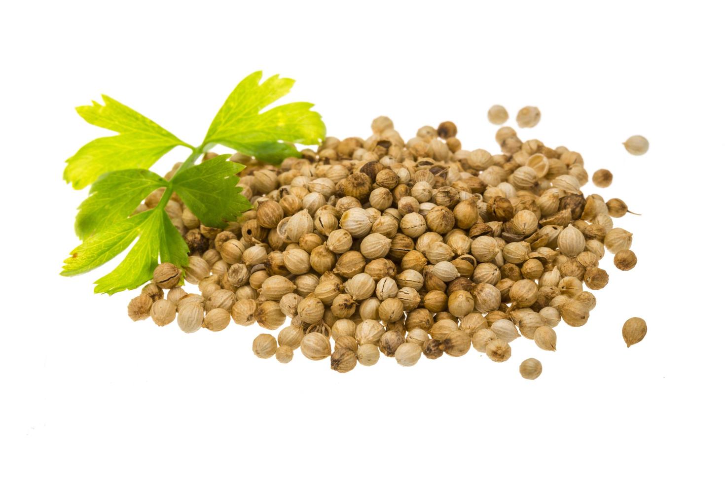 Coriander seeds on white photo