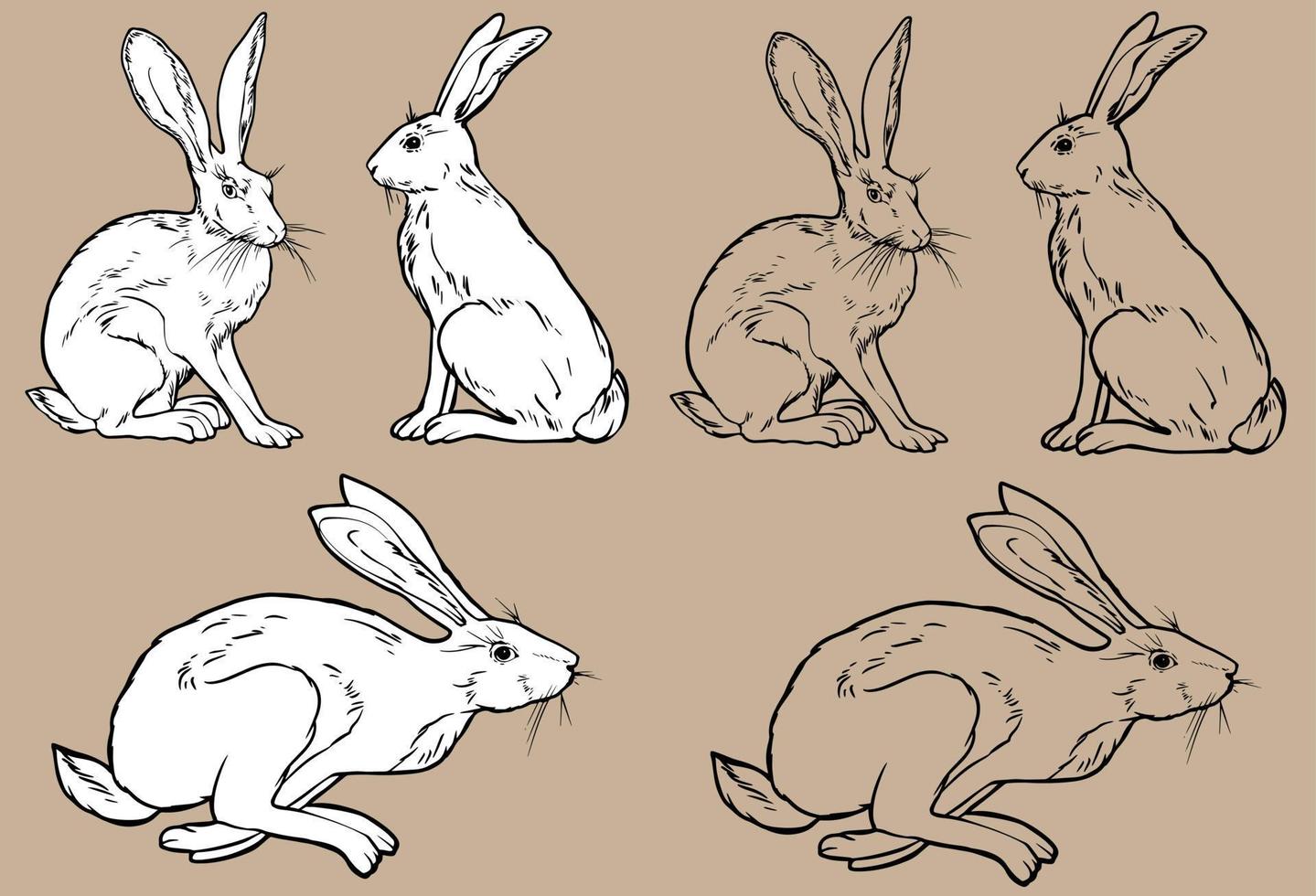 Three bunnies in different poses. vector black and white line drawing. For your design and coloring books. Isolated drawing. Hand-drawn.