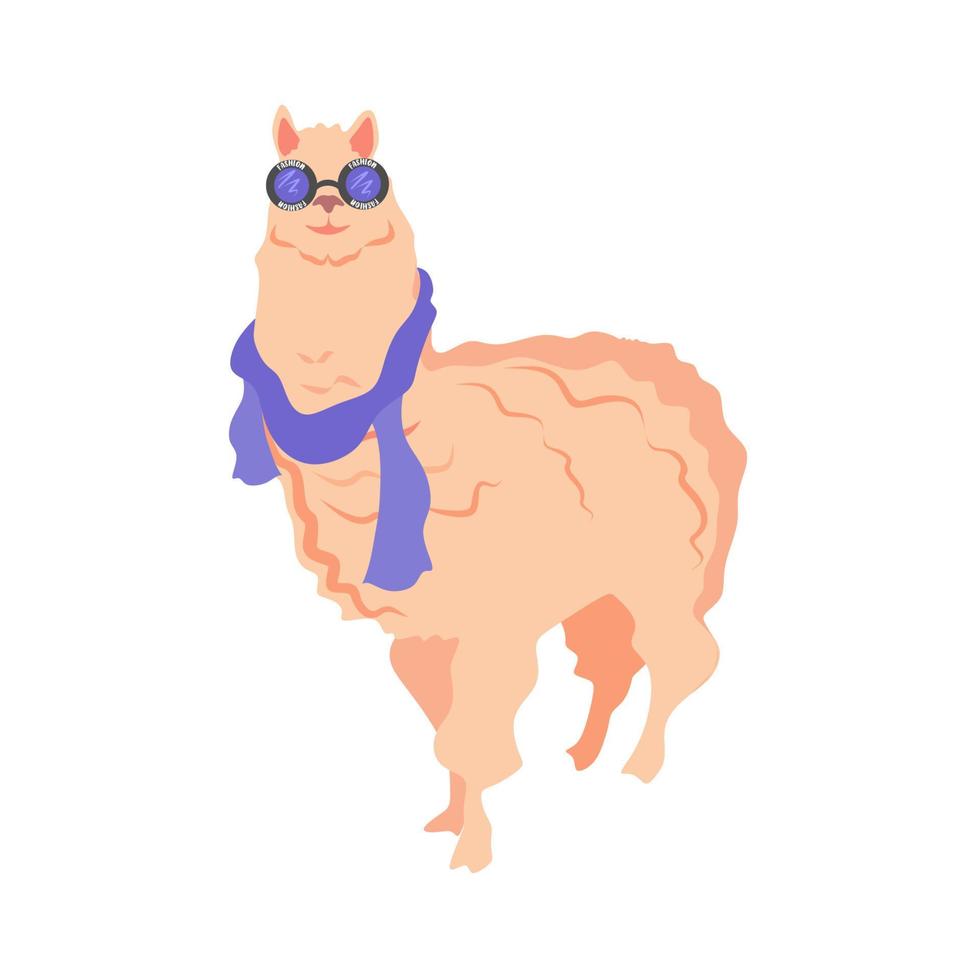 un lama de moda con gafas negras. lindo animal lama, con cabello rizado y esponjoso. llama en colores claro, negro, melocotón y morado. fondo para la tienda, ilustración para impresión y publicidad. vector