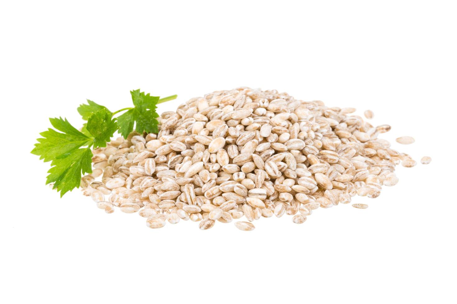 Pearl Barley on white photo