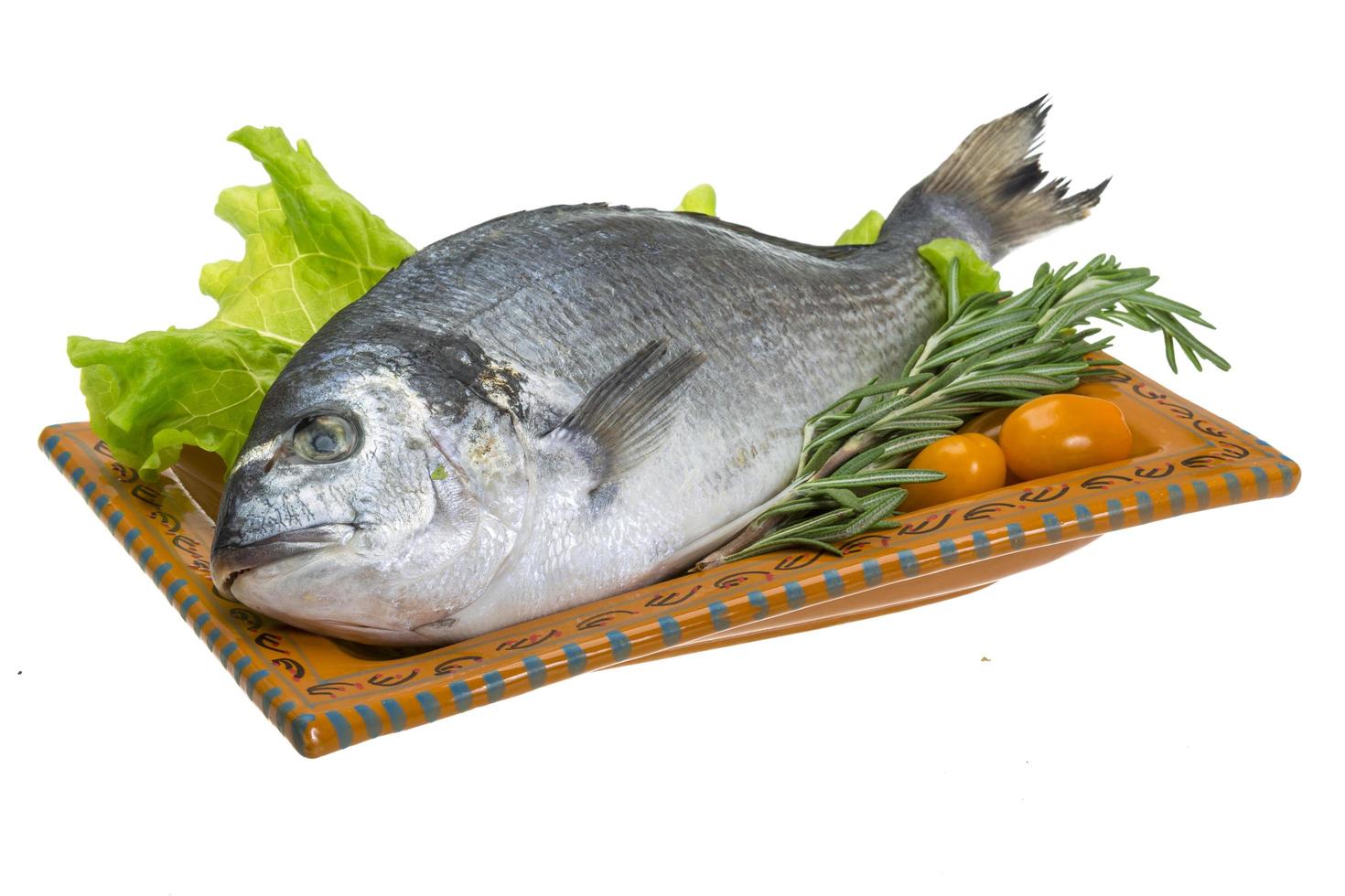 Raw dorado on white photo