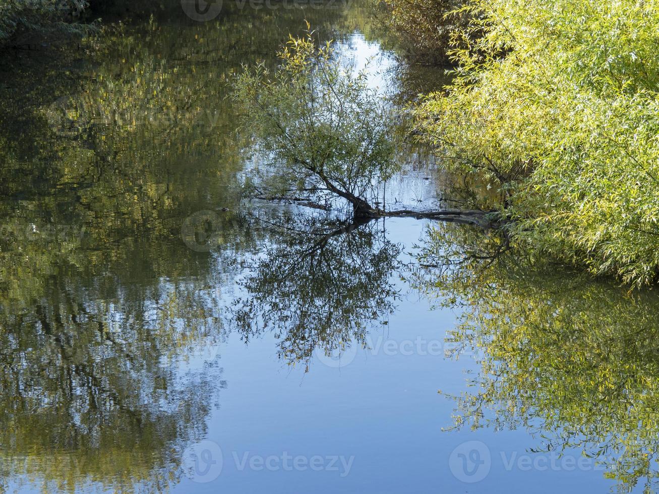 ramas de árboles reflejadas en la superficie de un río foto