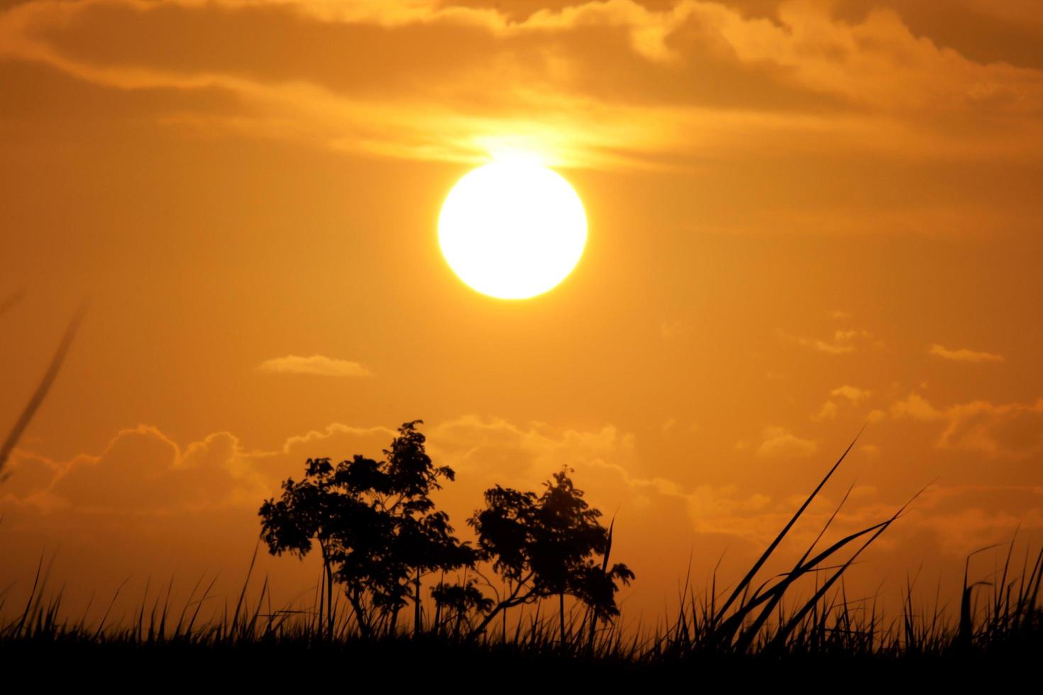 campos dos goytacazes, rj, brasil, 2021 - puesta de sol en el campo de campos foto