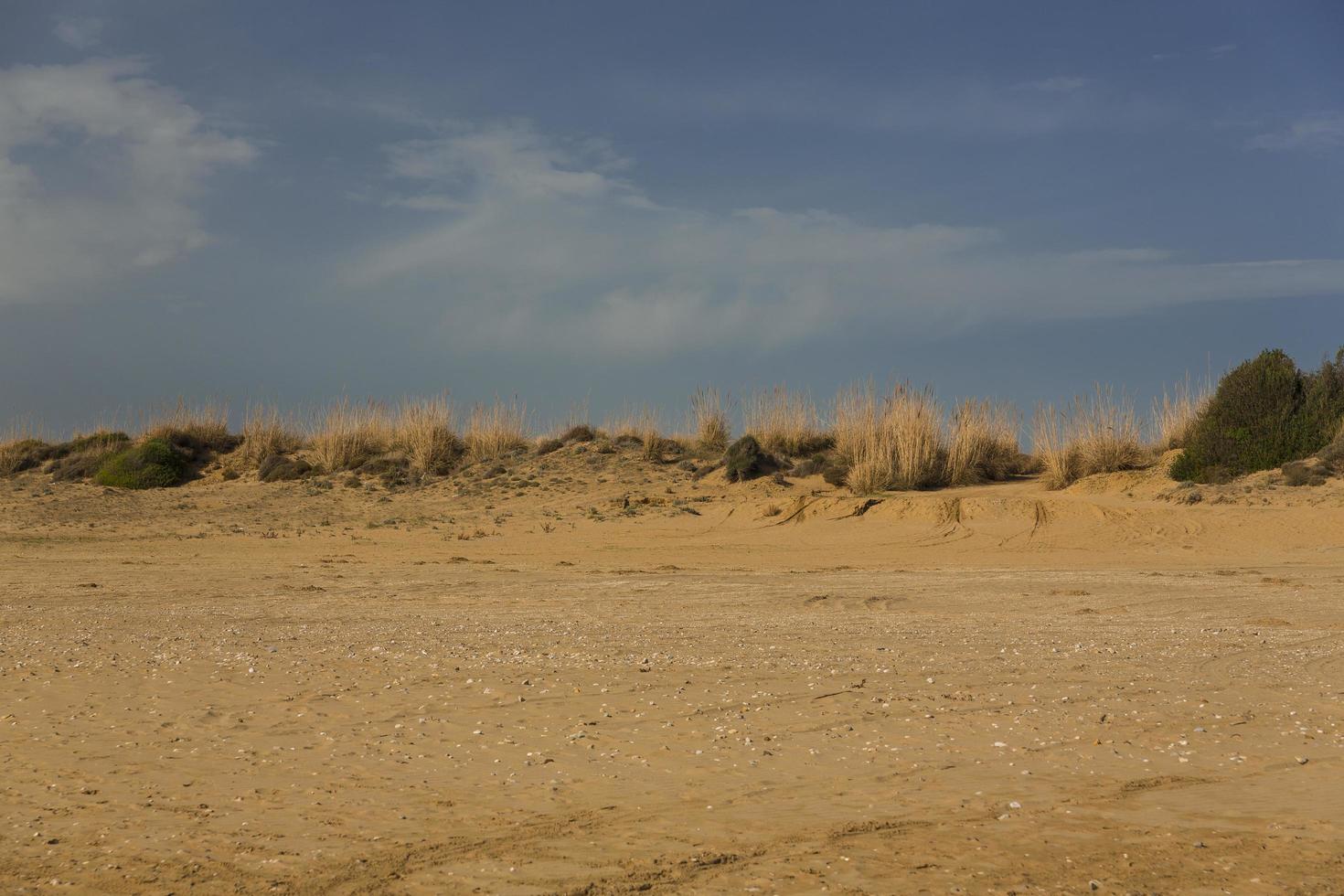 Desert dunes view photo