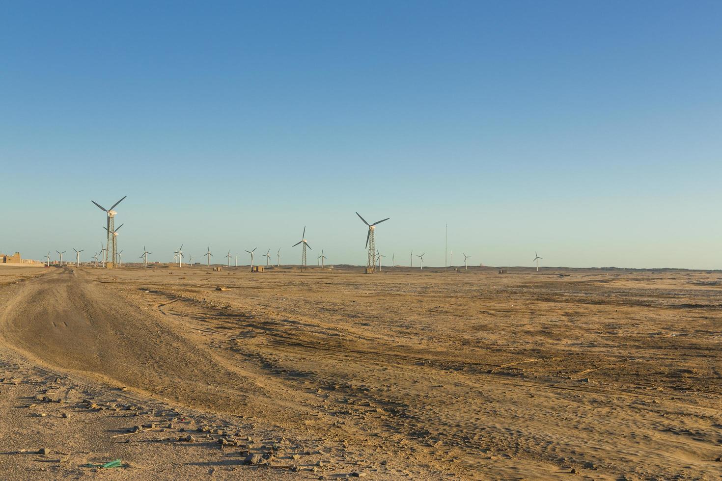 Wind farm view photo