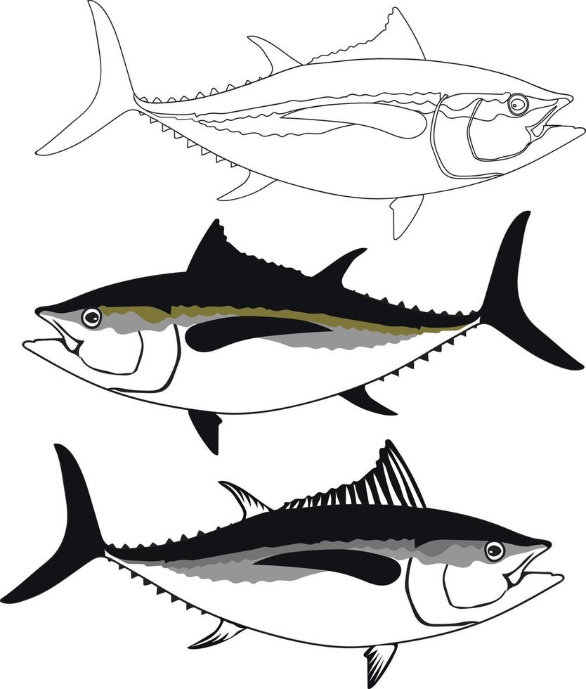 Tuna fish vector