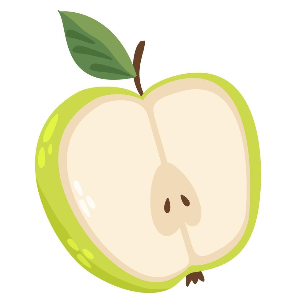 Vector isolated illustration of half of green sour apple on white background.