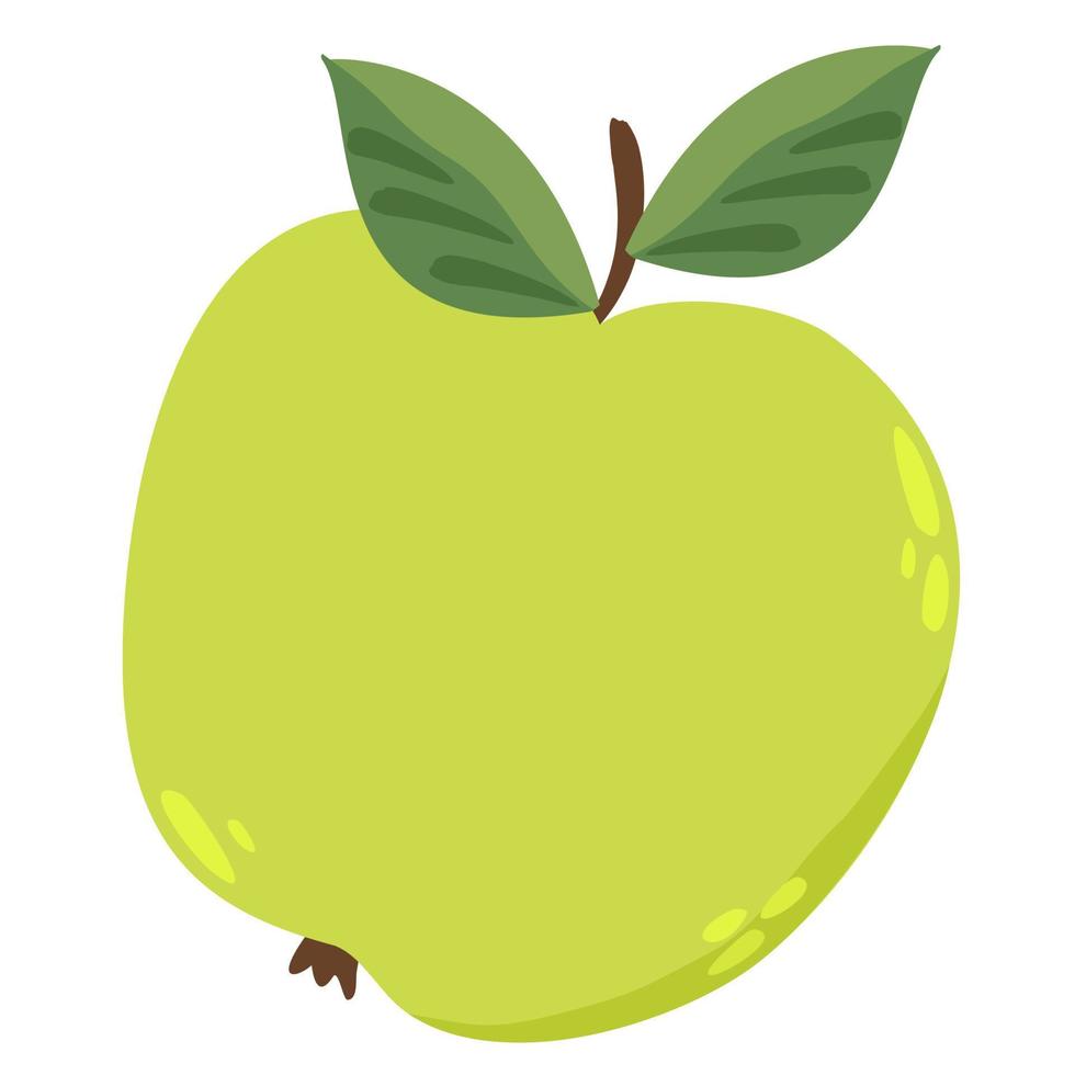 Vector isolated illustration of green sour apple on white background.