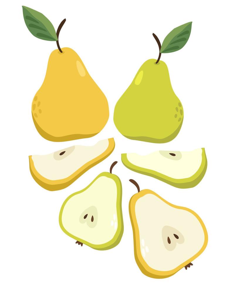 Vector composition of green and yellow pears isolated on white background.