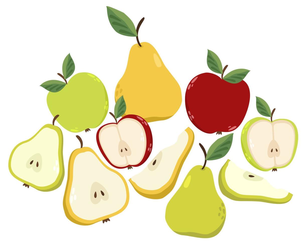 coloridas manzanas y peras frescas, enteras, mitades y rodajas. ilustración vectorial aislada. vector