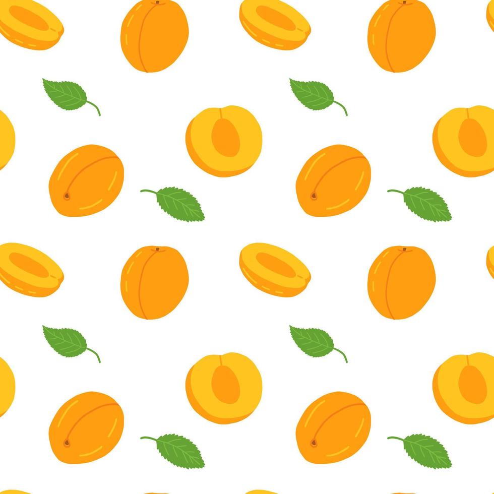 Vector cartoon apricot seamless pattern isolated on white background. Different peach and apricot vector pattern.