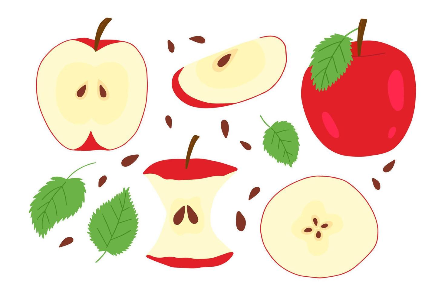 Apple - RITSUGUN KO  Red apple vector set. Hand drawn slice of apples clipart