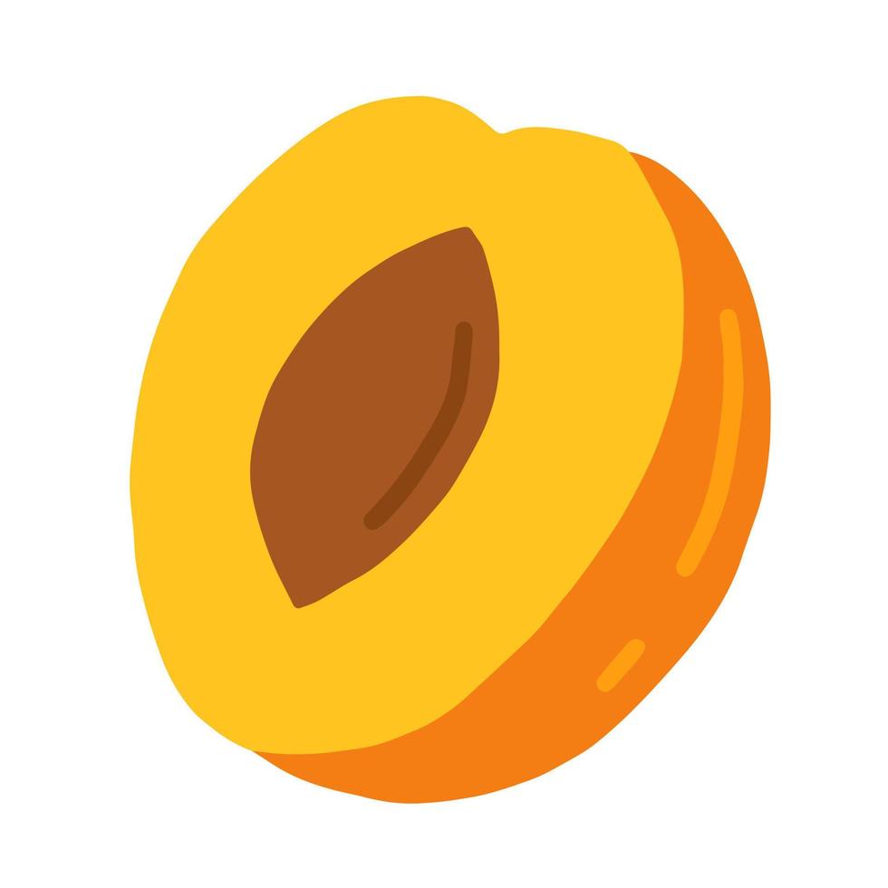 Slice of peach in section vector doodle illustration. Hand drawn apricot clip art