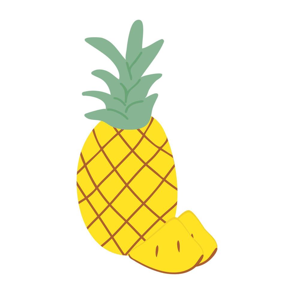 Pineapple and its slices in doodle style. Hand drawing vector