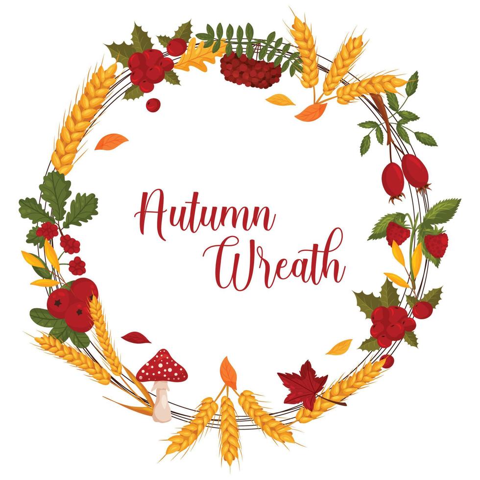 corona de otoño con trigo, arándanos, bayas, champiñones y hojas de otoño con espacio para texto. ilustración vectorial fondo blanco aislado. vector