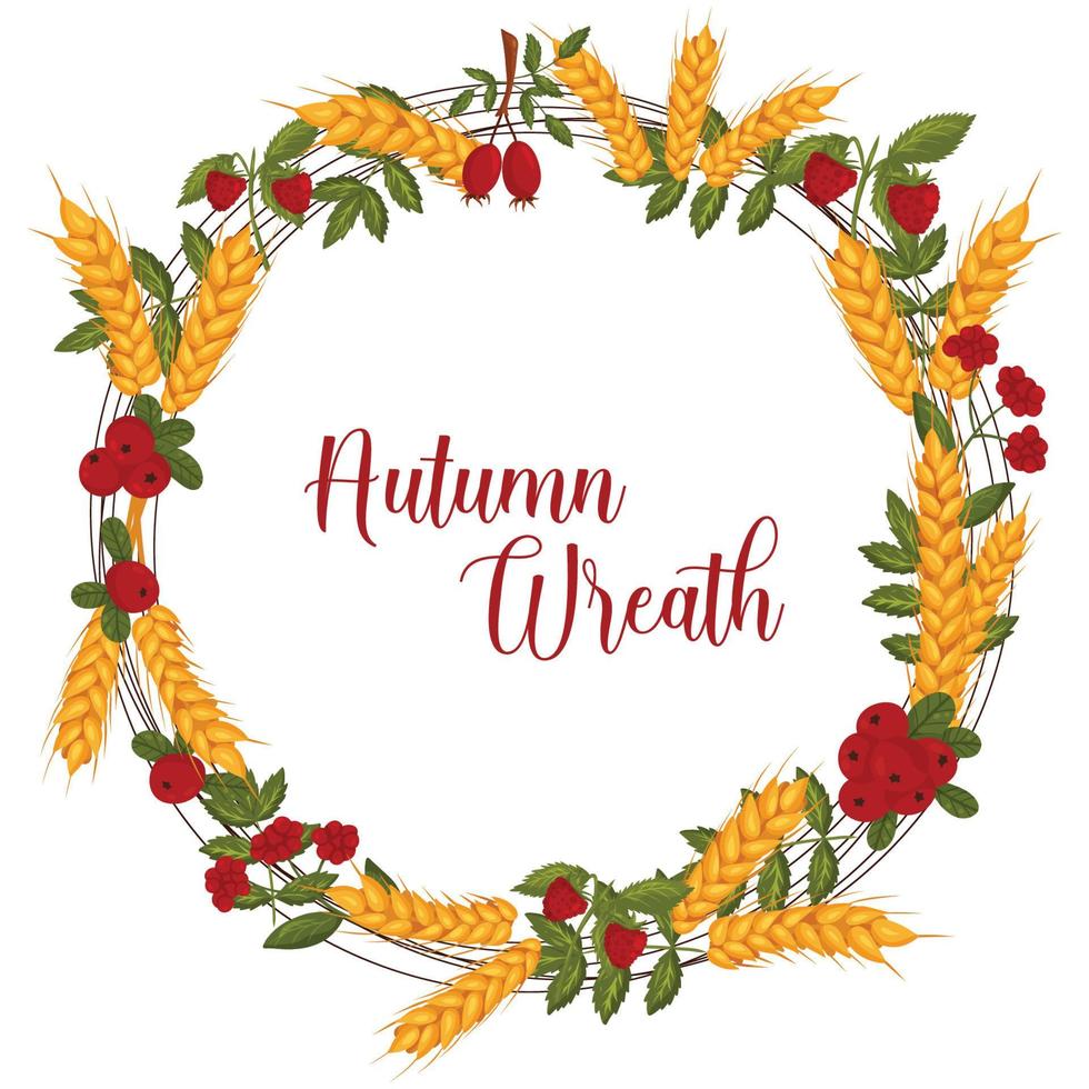 Autumn wreath with wheat, berries, and autumn leaves with space for text. Vector illustration isolated white background.