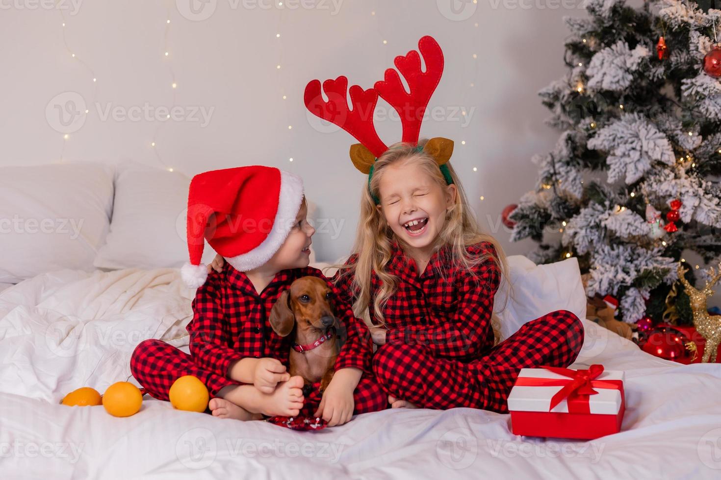 dos niños en casa en pijama para navidad están clasificando regalos y acurrucándose en la cama contra el fondo de un árbol de navidad foto