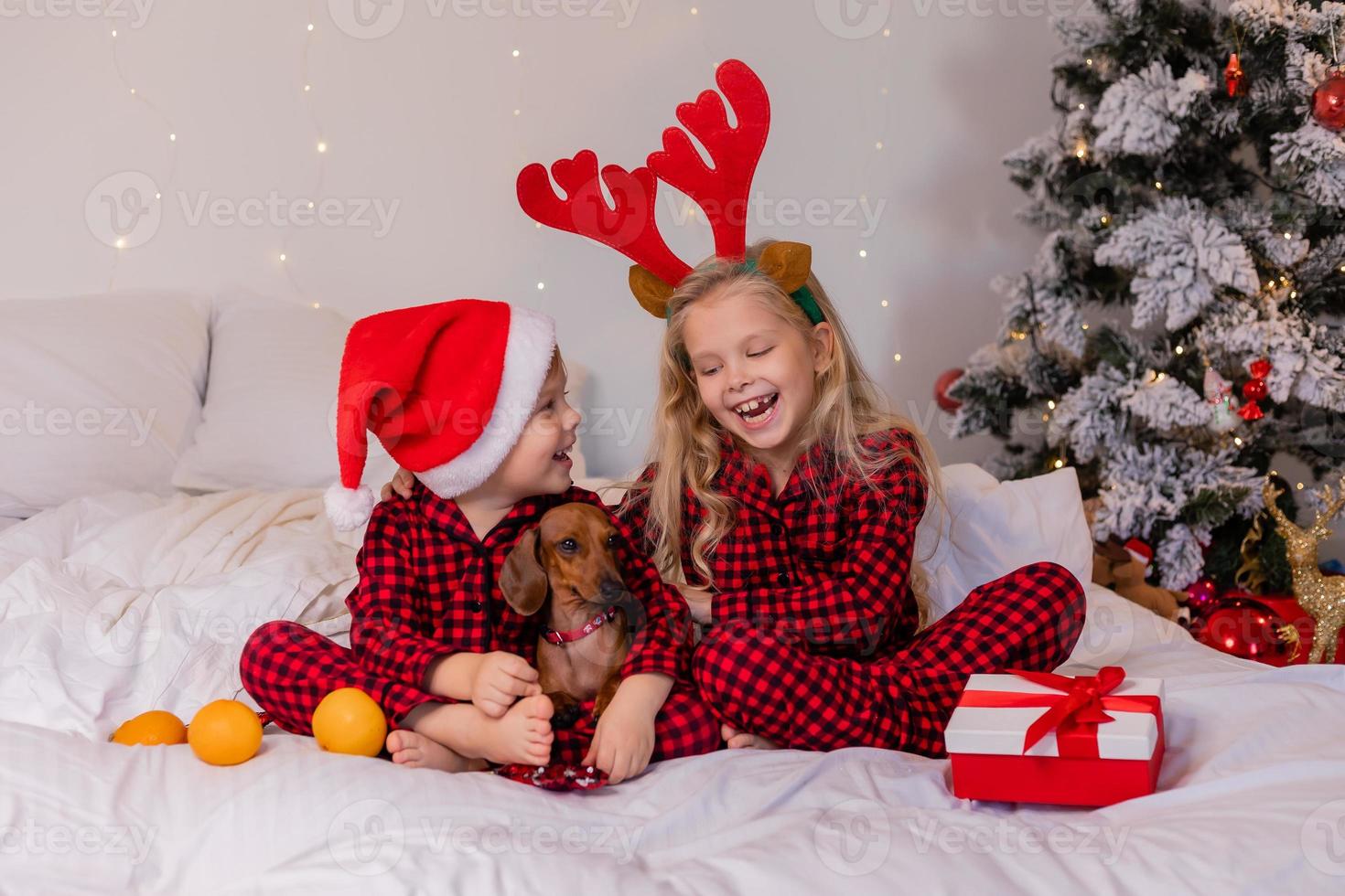 two children at home in pajamas for Christmas are sorting presents and cuddling in bed against the background of a Christmas tree photo