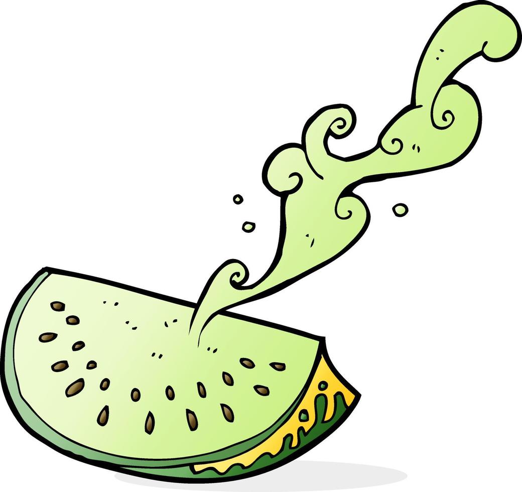 doodle character cartoon melon vector