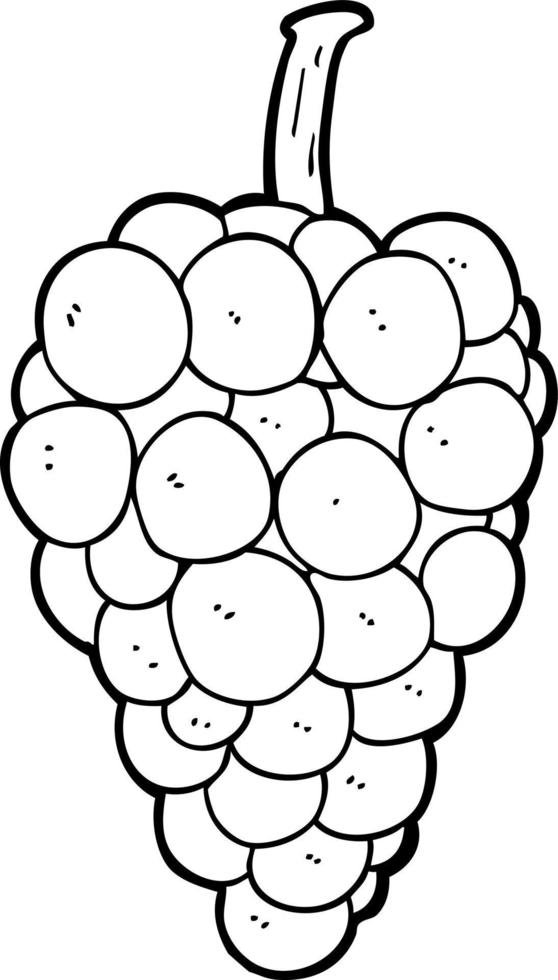 uvas de dibujos animados de dibujo lineal vector