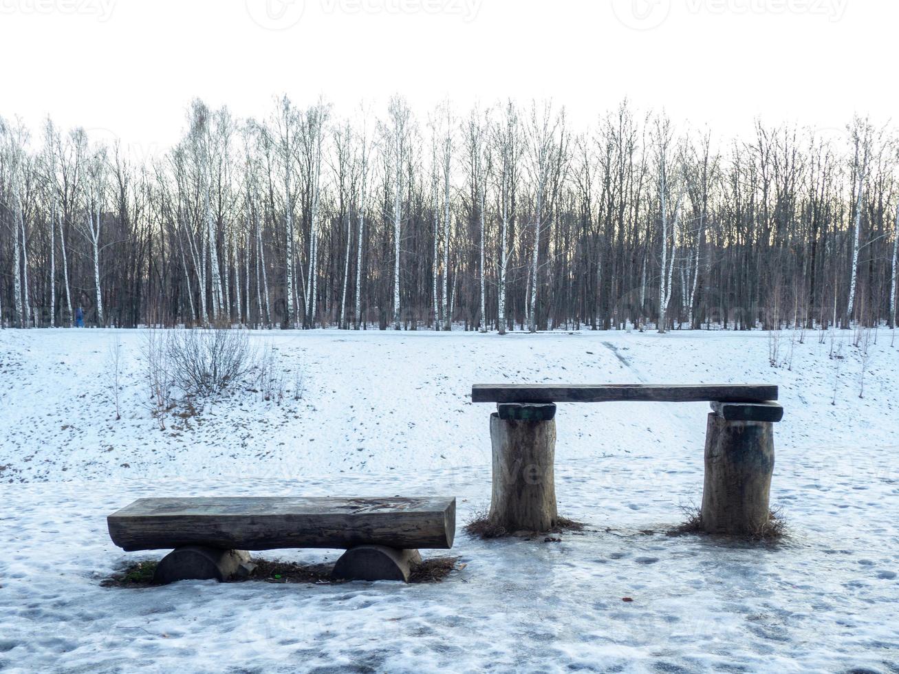 Bench and table made of logs. Environmentally friendly. photo