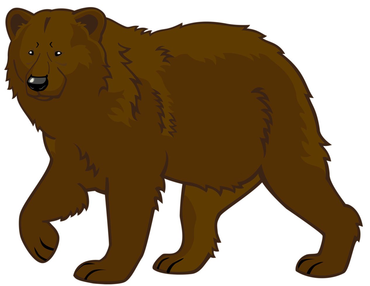 fundo transparente de urso pardo png