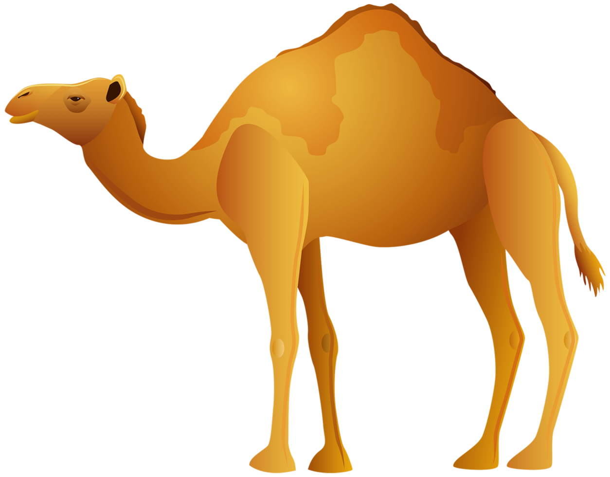 Camel transparent background png