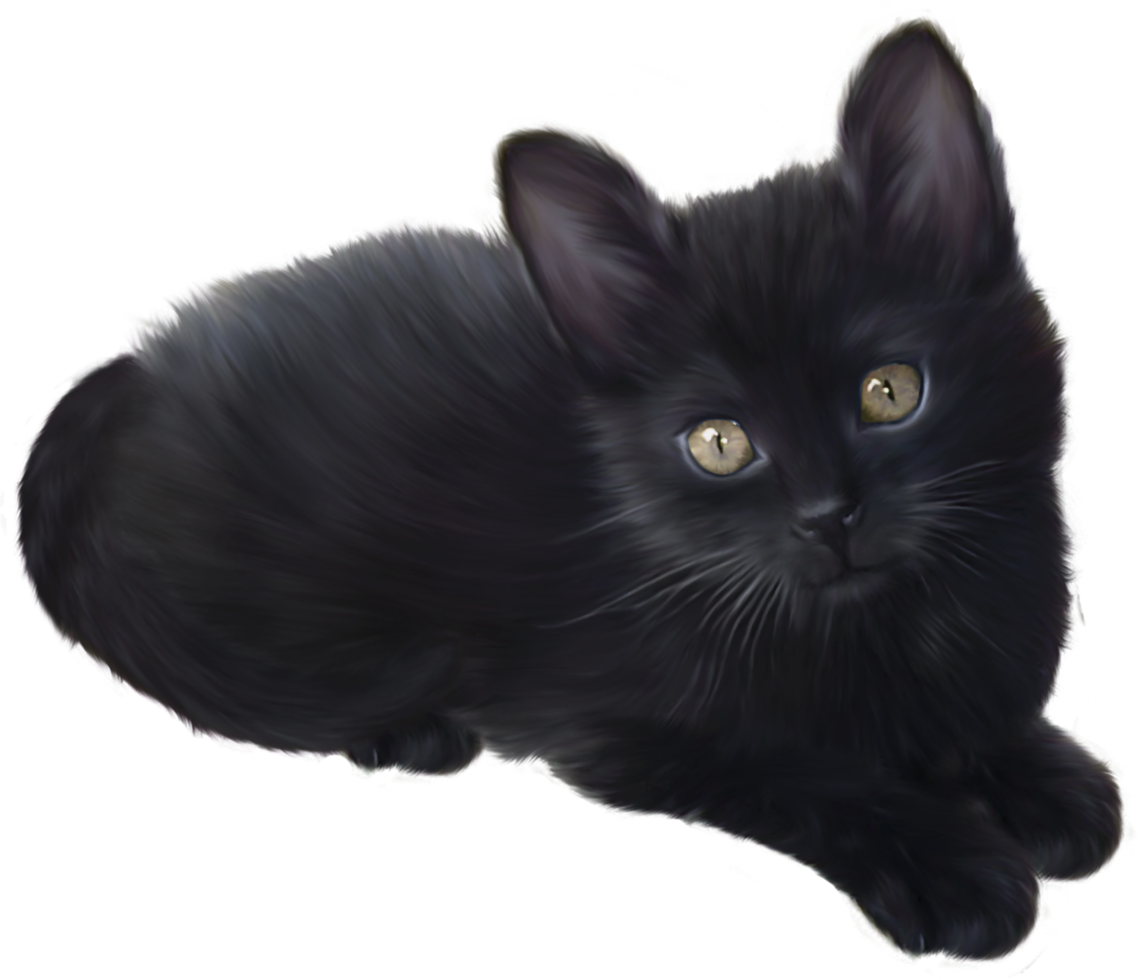 Black Kitten transparent background png