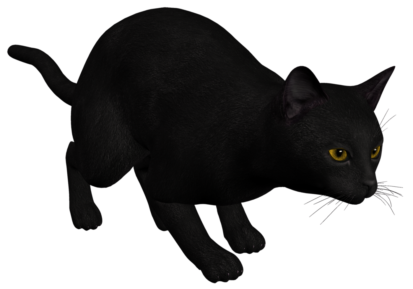 gato negro fondo transparente png