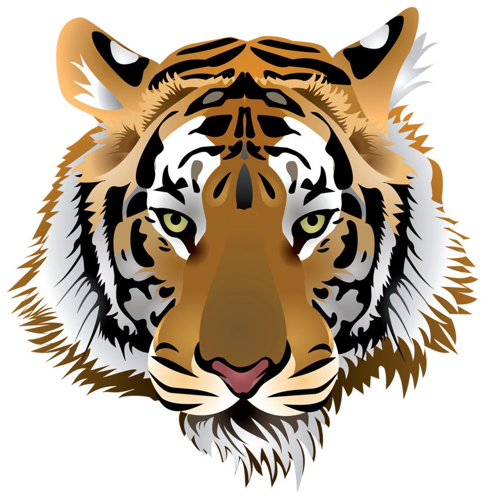 tijger hoofd transparant achtergrond png