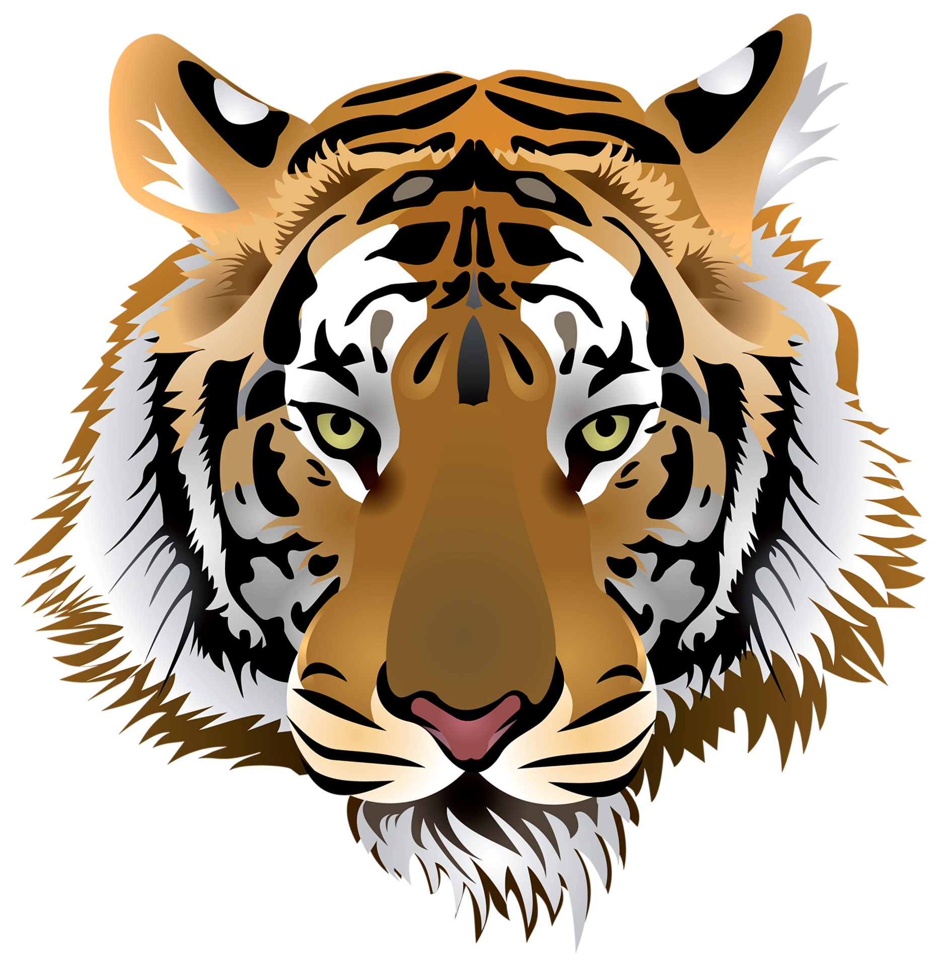 Tête De Tigre Fond Transparent 12893821 Png