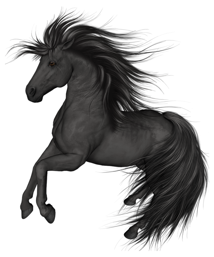 Black Horse transparent background png